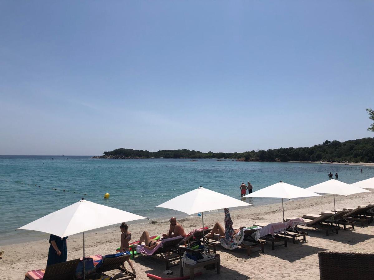 Villa Calme Luxueuse Et Proche Plage Saint-Cyprien Lecci Εξωτερικό φωτογραφία